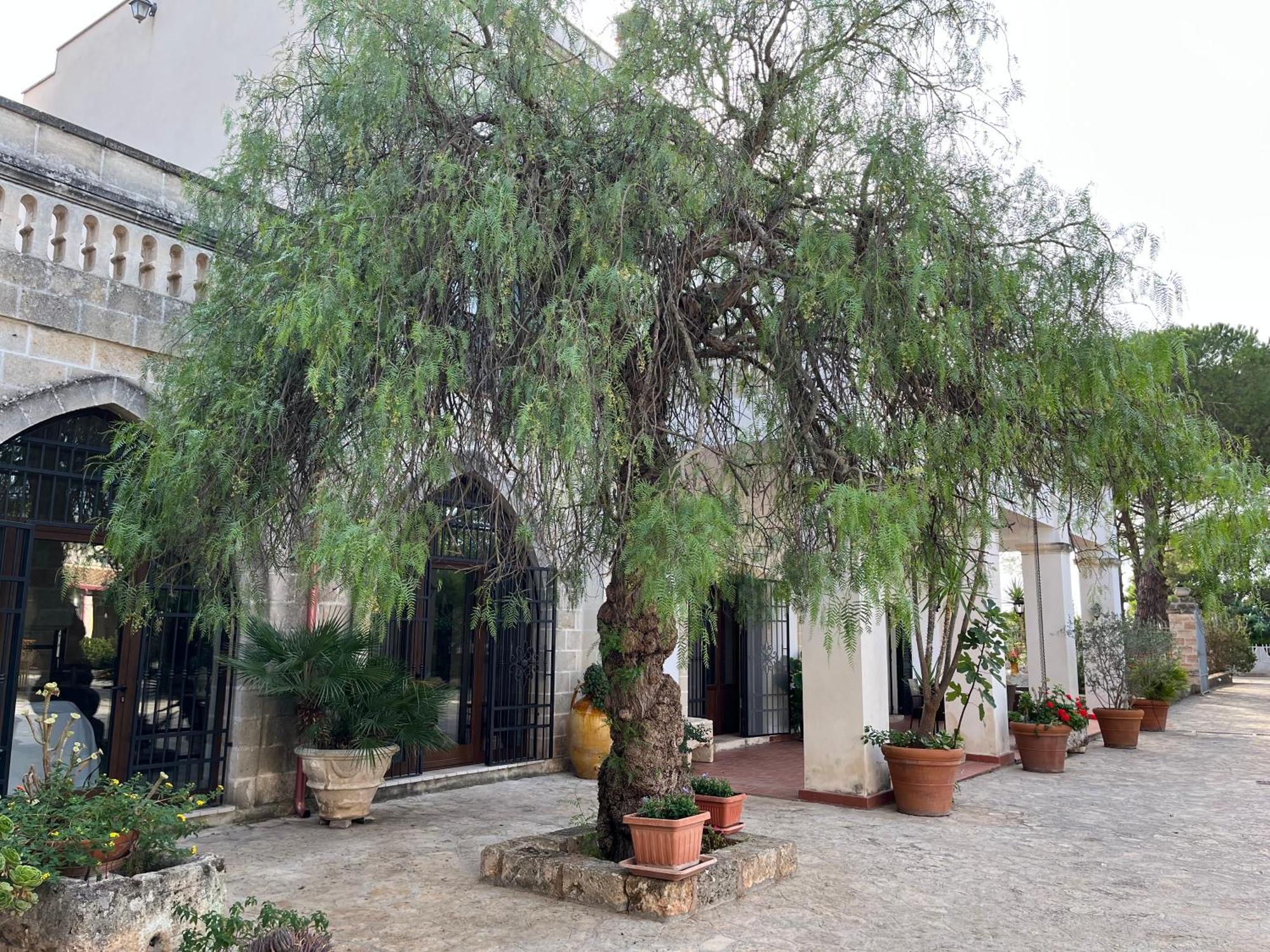 Masseria La Camardia Sava 외부 사진