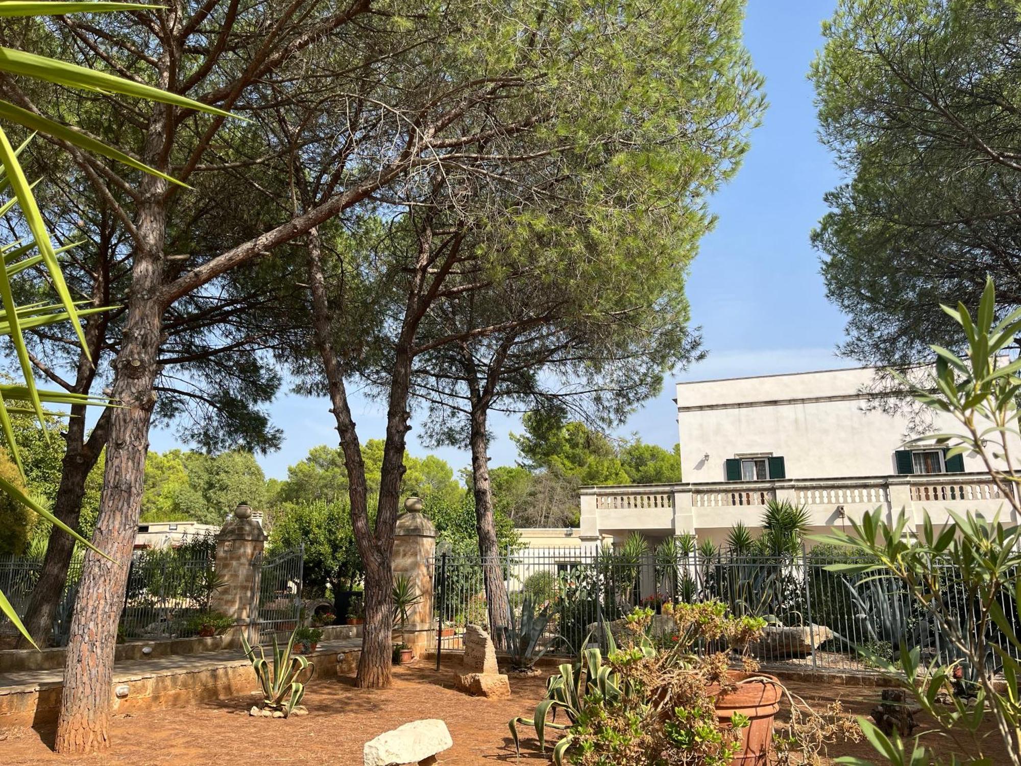 Masseria La Camardia Sava 외부 사진