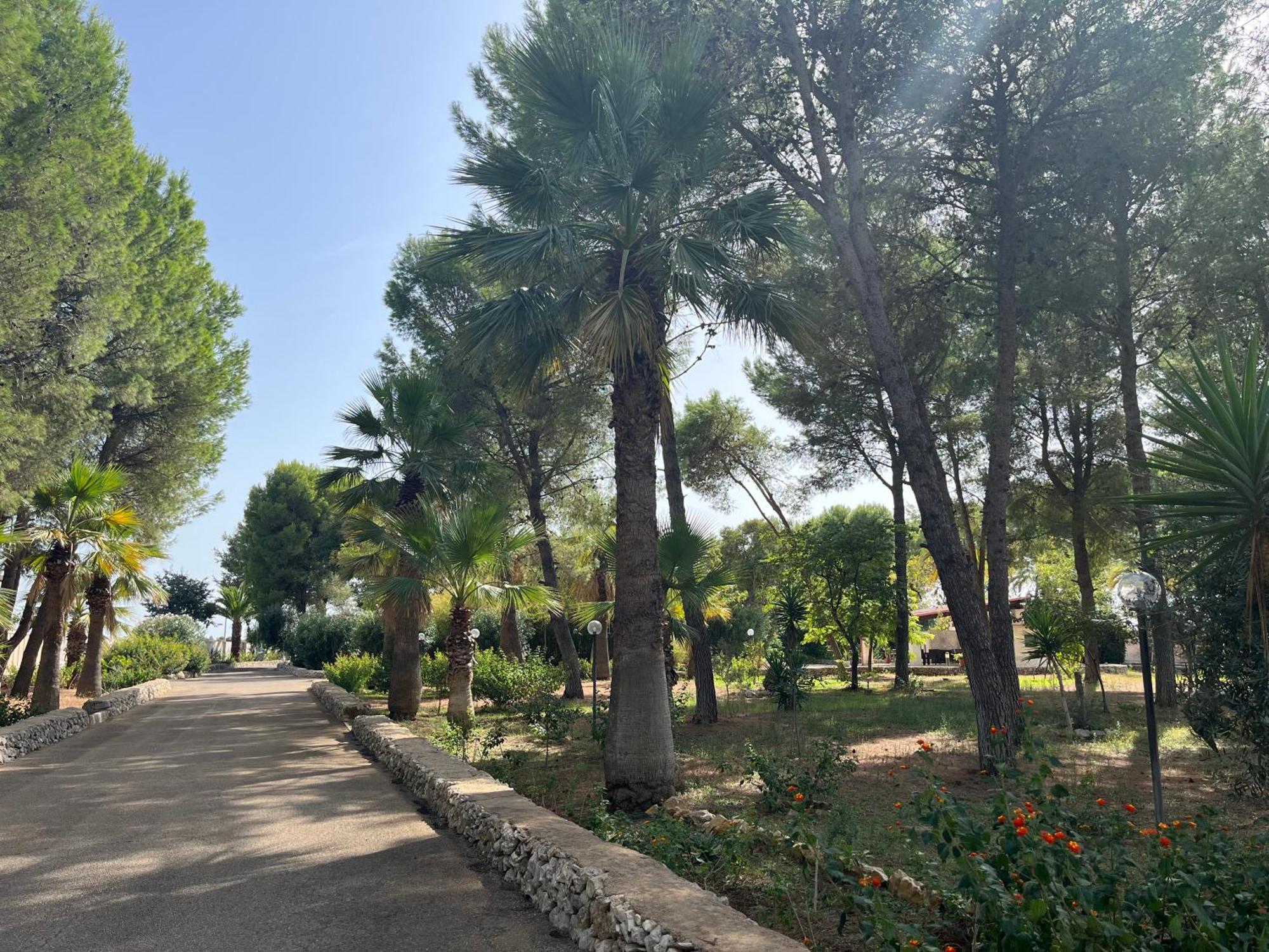Masseria La Camardia Sava 외부 사진