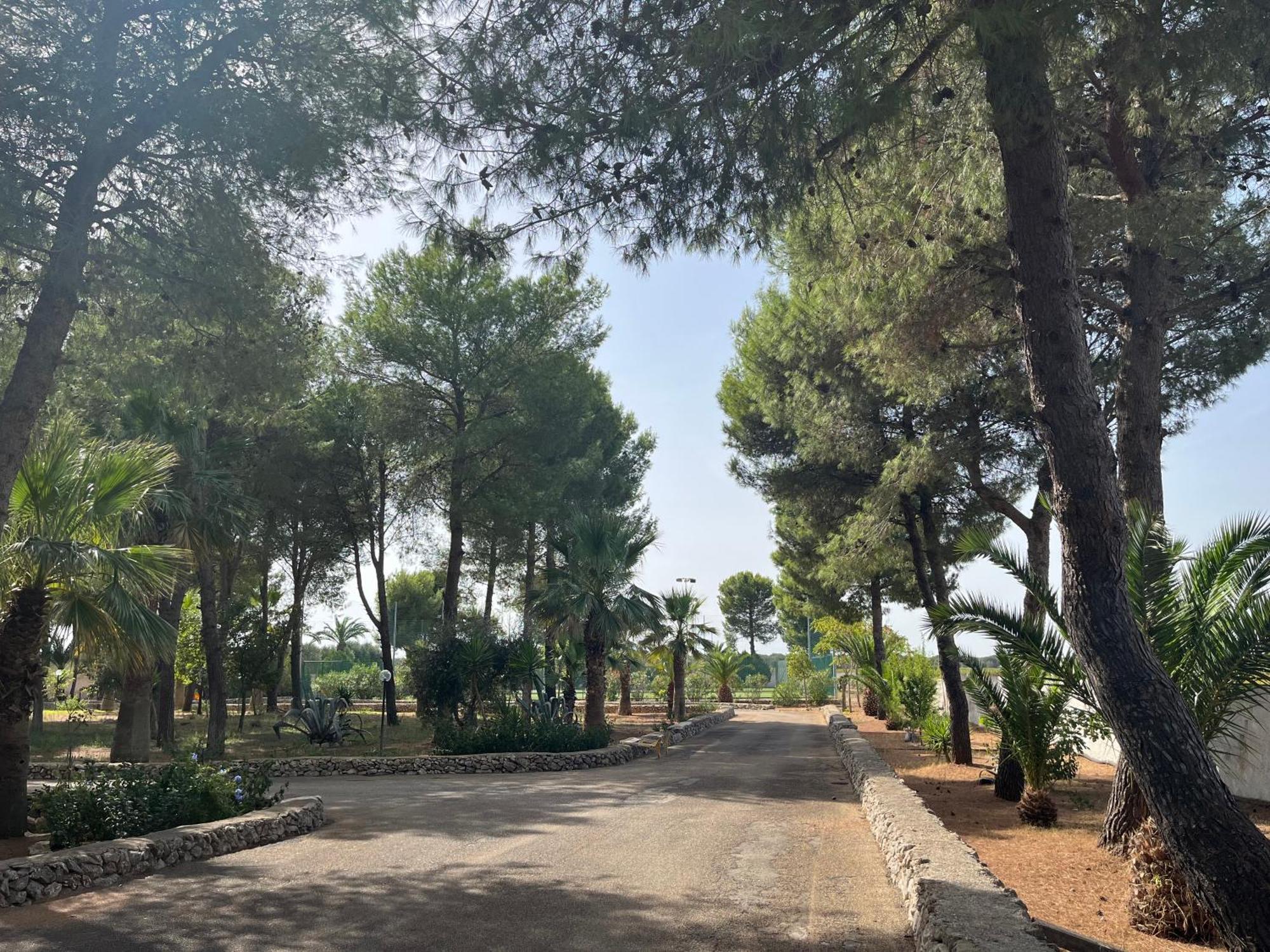 Masseria La Camardia Sava 외부 사진