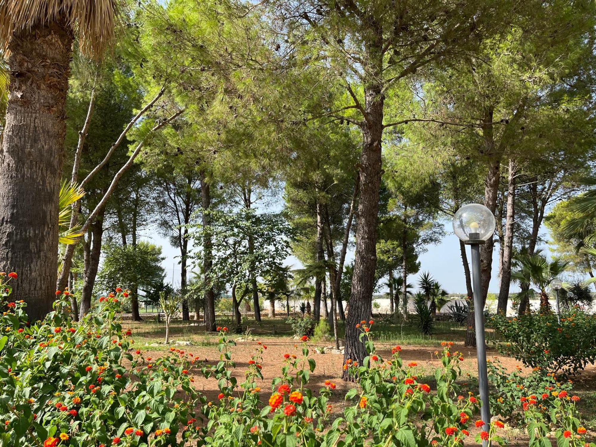Masseria La Camardia Sava 외부 사진