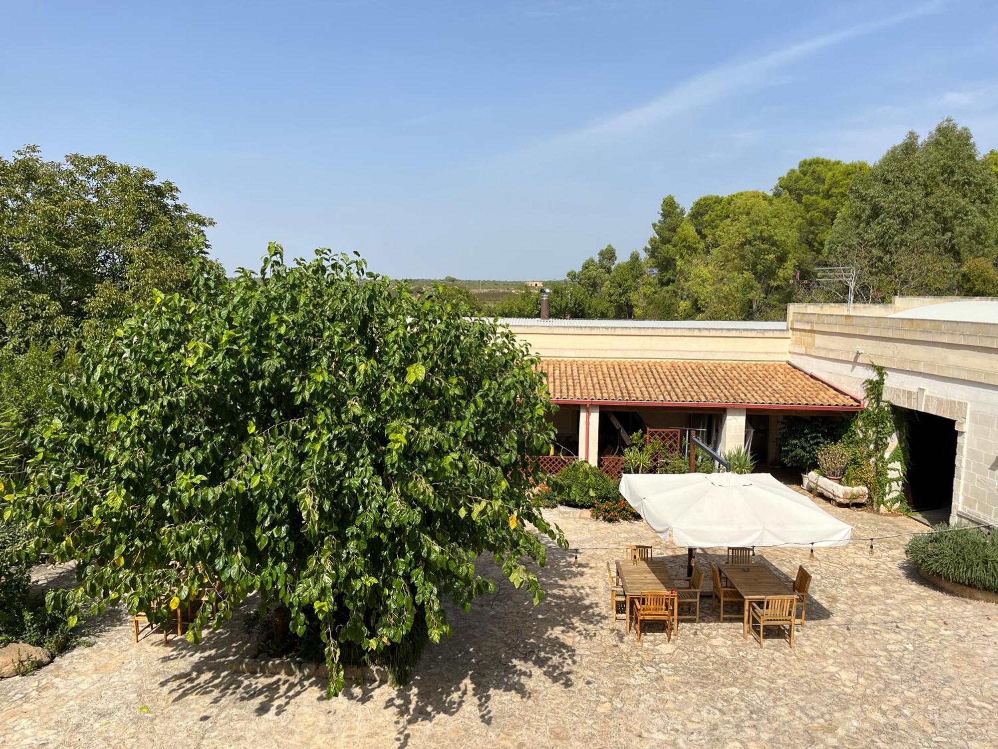 Masseria La Camardia Sava 외부 사진