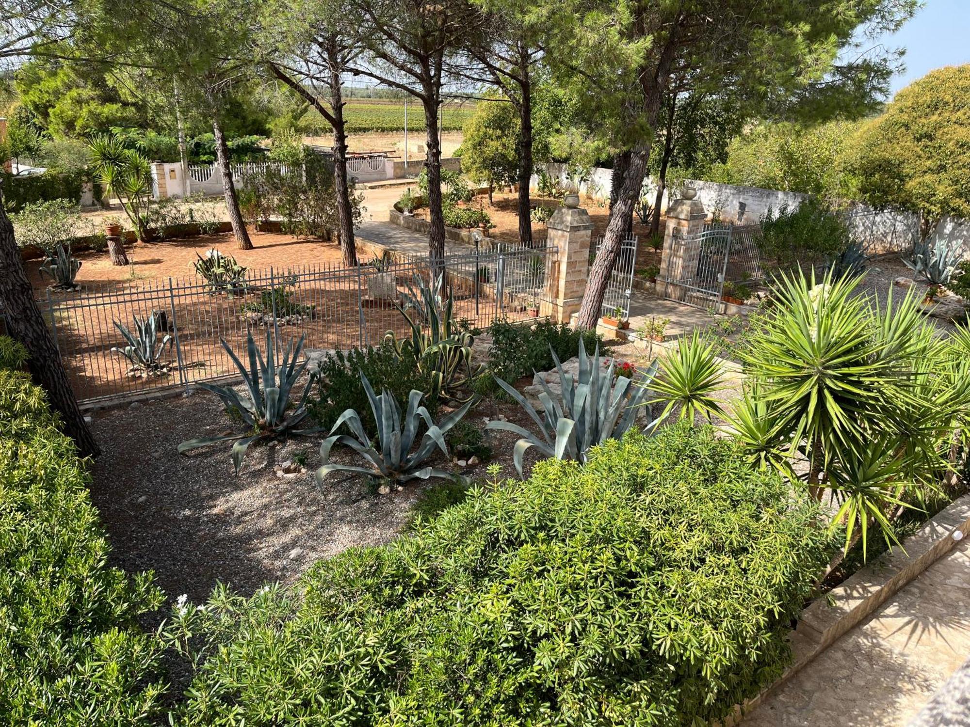 Masseria La Camardia Sava 외부 사진